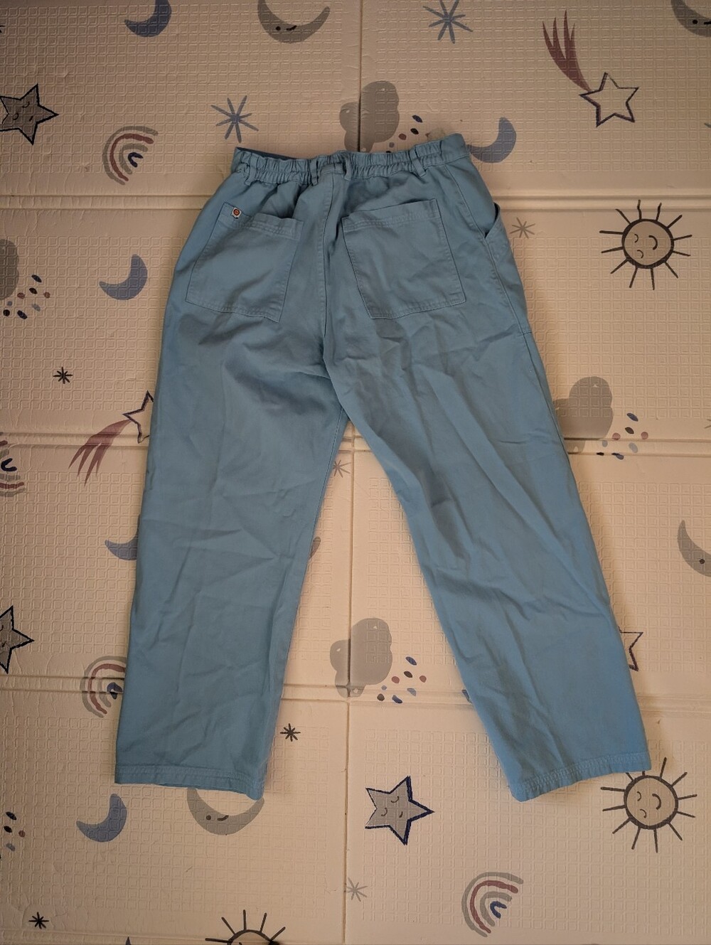 Big Bud Press Work Pants L Baby Blue